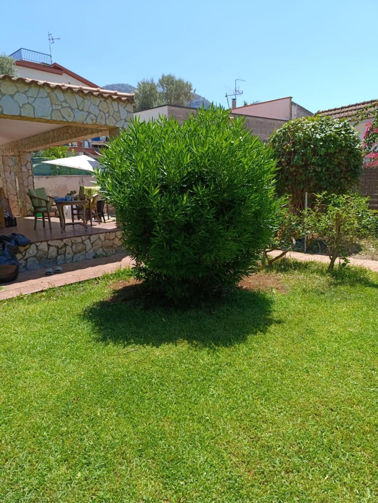 Vila Casa In Giardino A Pochi Passi Dal Mare Palermo Exteriér fotografie